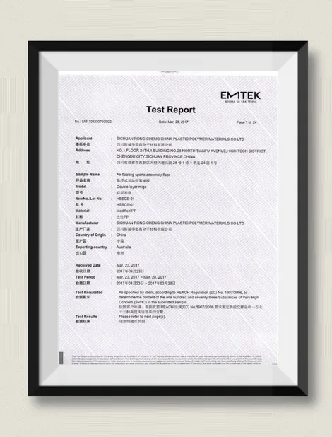 Huasu REACH Certificate